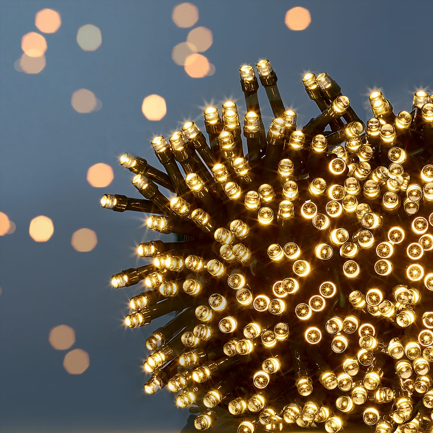 Prestige Mains Operated 1000 LED String Lights, product image 2
